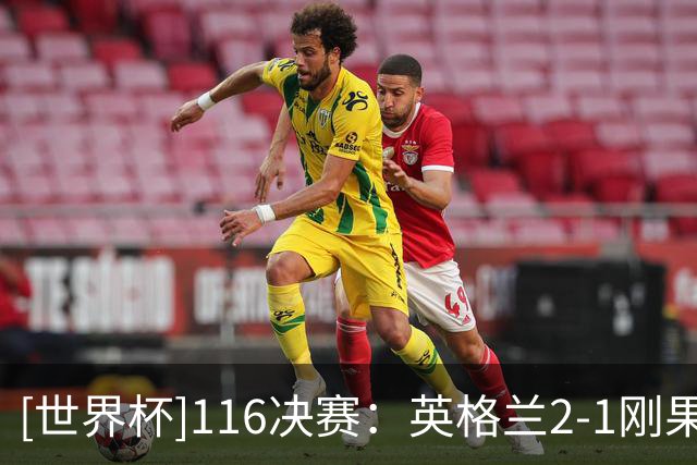 [世界杯]1/16决赛：英格兰2-1刚果（金） 集锦